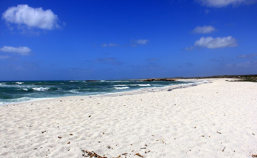 Brilliant morning with white sand, blue sky sea art print by Giovanni Saiu for $57.95 CAD