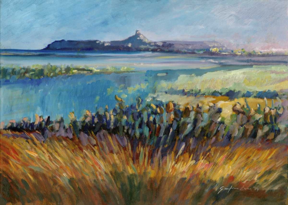 Sea and vegetation bond island sardinia art print by Gianfranco Zucca for $57.95 CAD