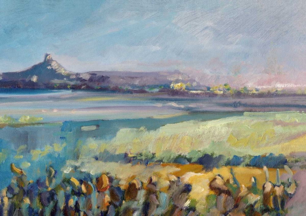 Sea and vegetation color sardinia detail art print by Gianfranco Zucca for $57.95 CAD