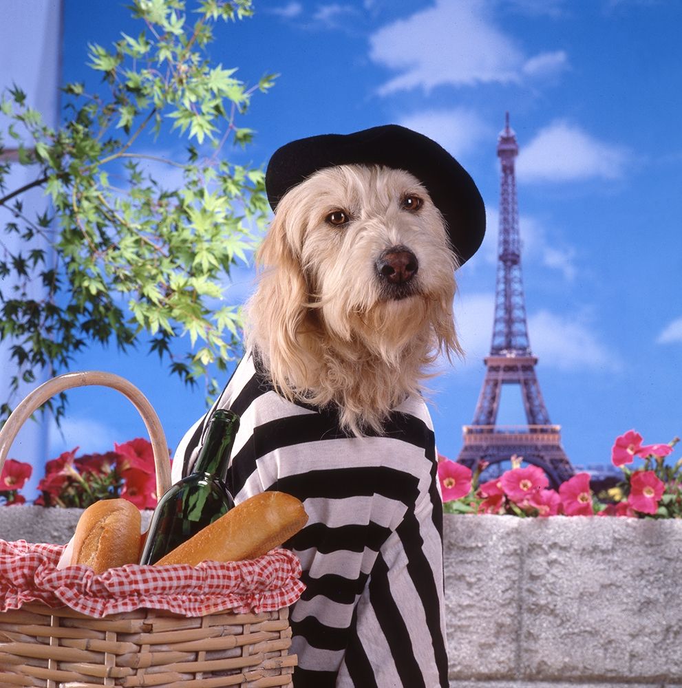 Visit to Paris art print by Patrick Hoenderkamp for $57.95 CAD