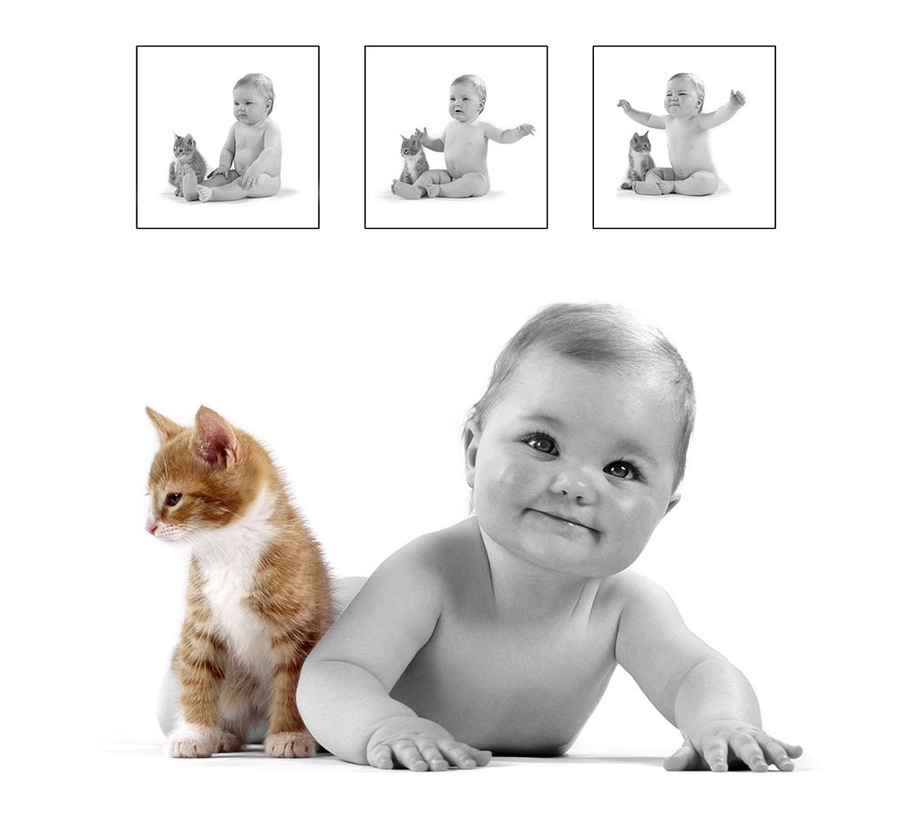 baby and kitten art print by Patrick Hoenderkamp for $57.95 CAD