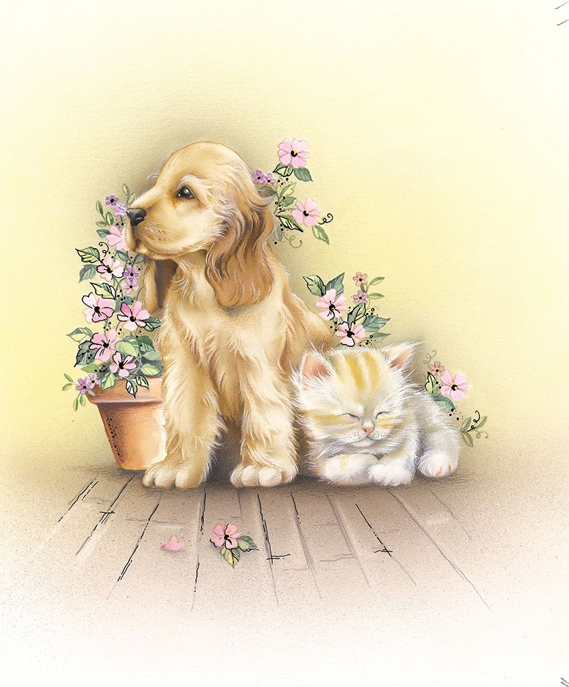 Cat and Dog art print by Patrick Hoenderkamp for $57.95 CAD