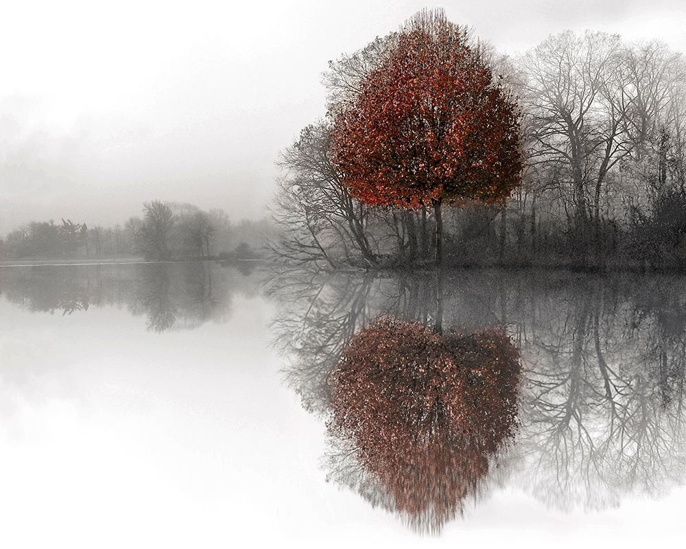 Mirror Lake art print by Ellen Fisch for $57.95 CAD