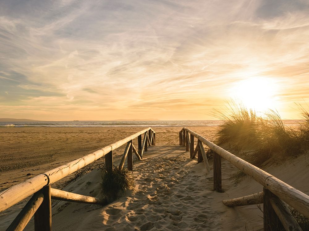 Beach Path to the Golden Sun art print by Schaldach for $57.95 CAD
