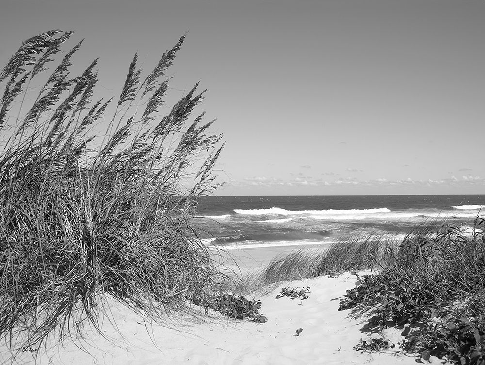 Dune Path art print by Eve Turek for $57.95 CAD