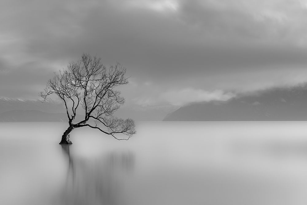 Quiet Times art print by Anonymous for $57.95 CAD
