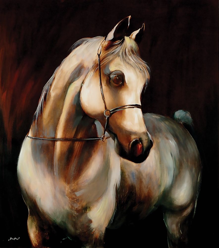 Ready to Ride art print by Judit Sipos for $57.95 CAD