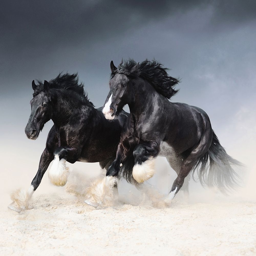 Race Along the Sand art print by Tanya Yurkovska for $57.95 CAD