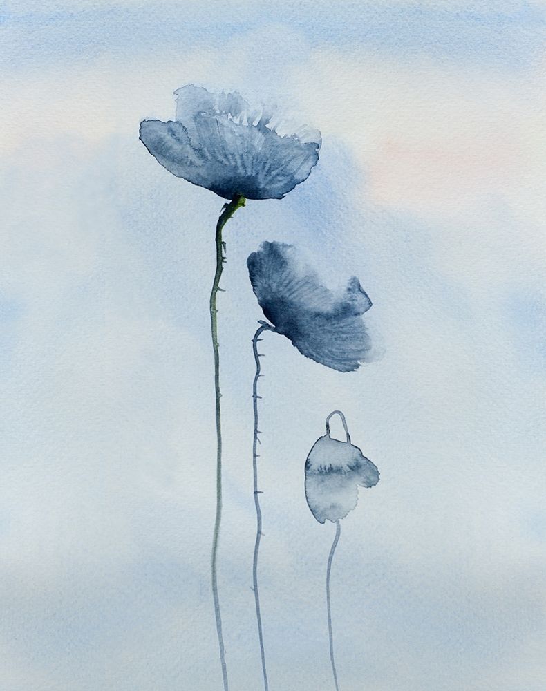 Poppies in blue art print by Anonymous for $57.95 CAD