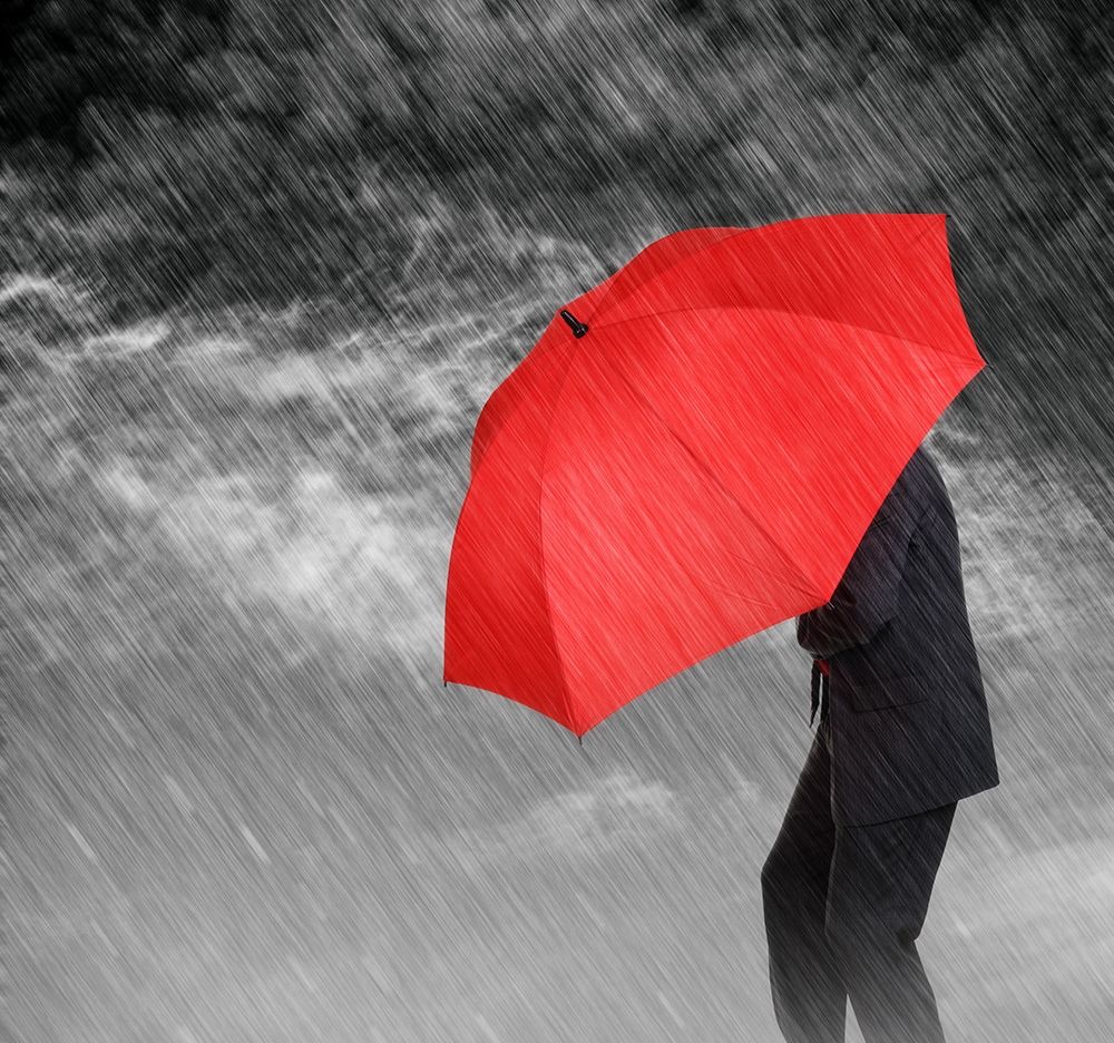 Weathering the Storm art print by Anonymous for $57.95 CAD