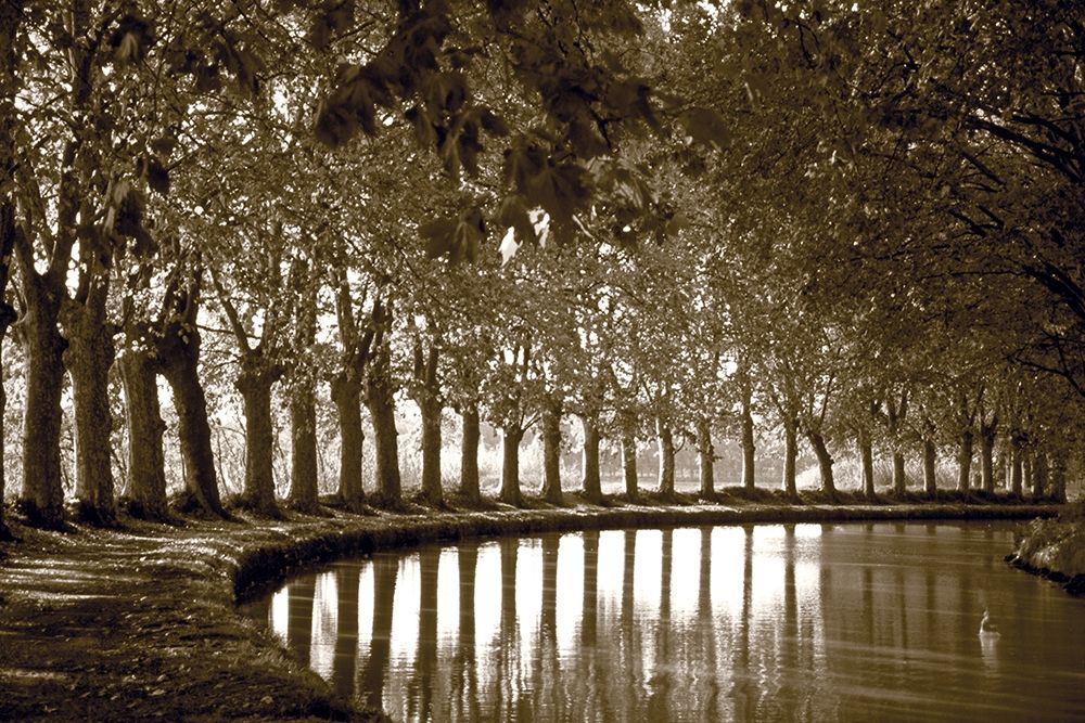 Tree Line at Pond art print by Anonymous for $57.95 CAD