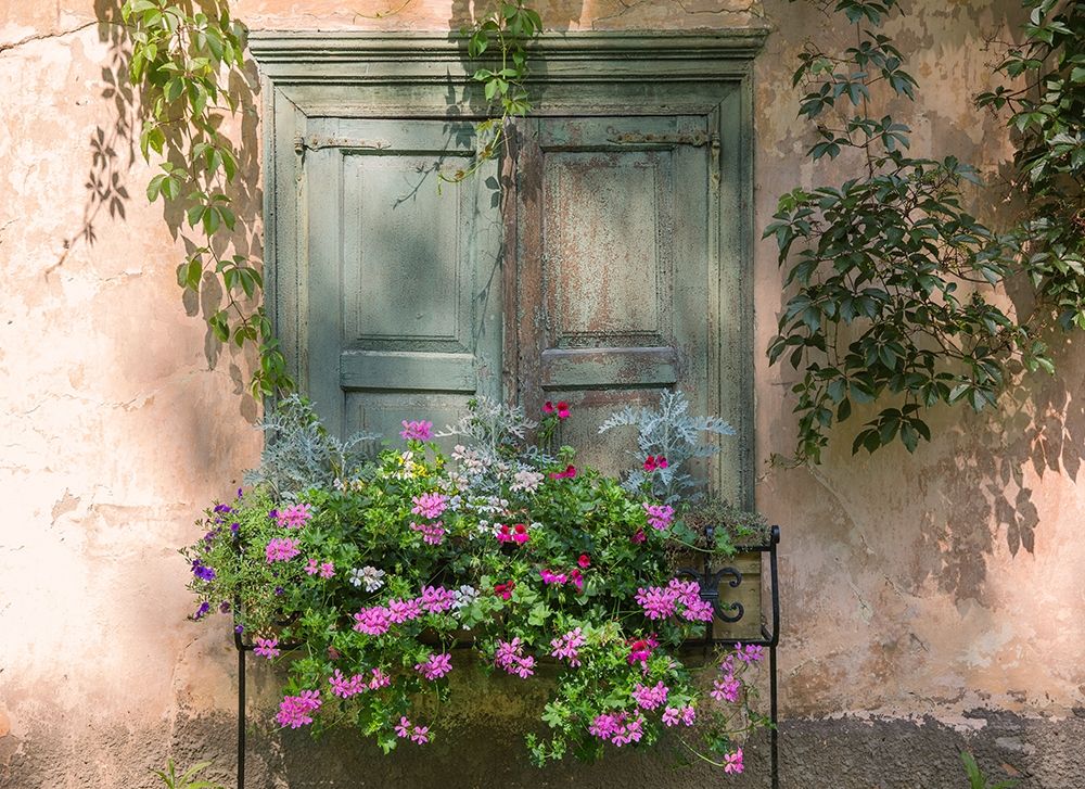 Retro Window and Flowers art print by Edijs Volcjoks for $57.95 CAD