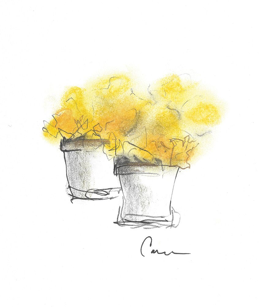 Flower Pot Duo art print by Lisa Carroccio for $57.95 CAD