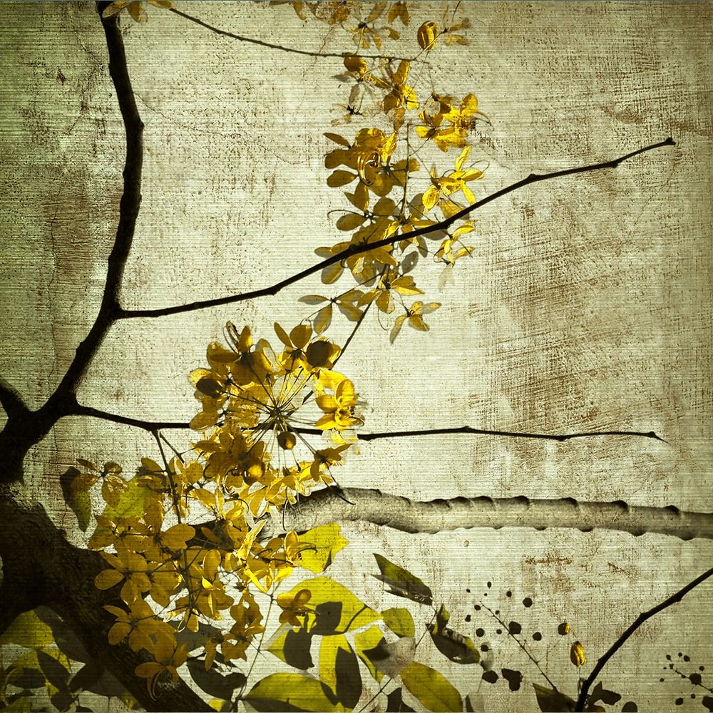 Yellow Kerala Blossoms art print by Anonymous for $57.95 CAD