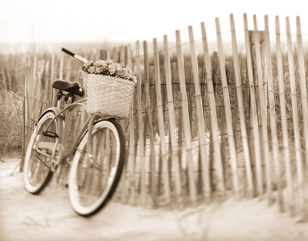 Bike by Beach Fence art print by Anonymous for $57.95 CAD