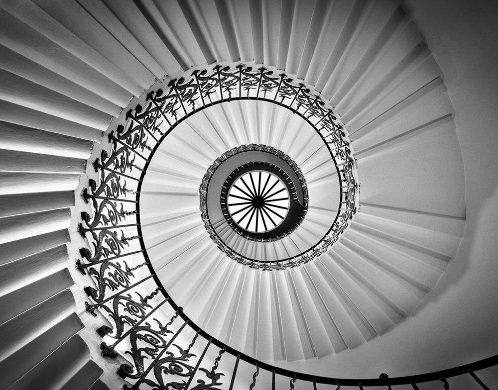 Tulip Staircase art print by Jackson for $57.95 CAD
