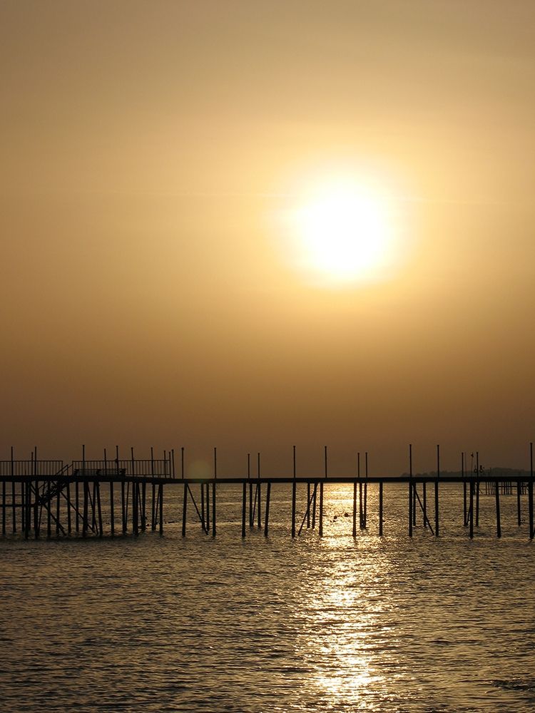 Golden Sunset art print by Anonymous for $57.95 CAD