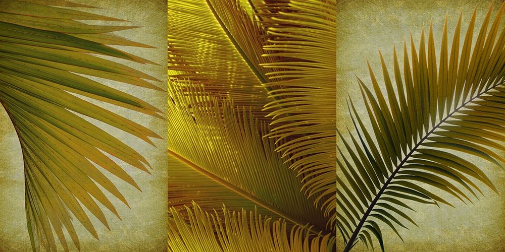 Palm Trio II art print by Anonymous for $57.95 CAD