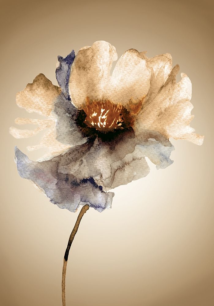Blossom in Sienna I art print by Regina for $57.95 CAD