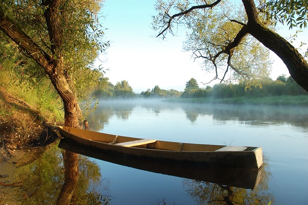 Tranquil Morning, Color art print by Anonymous for $57.95 CAD