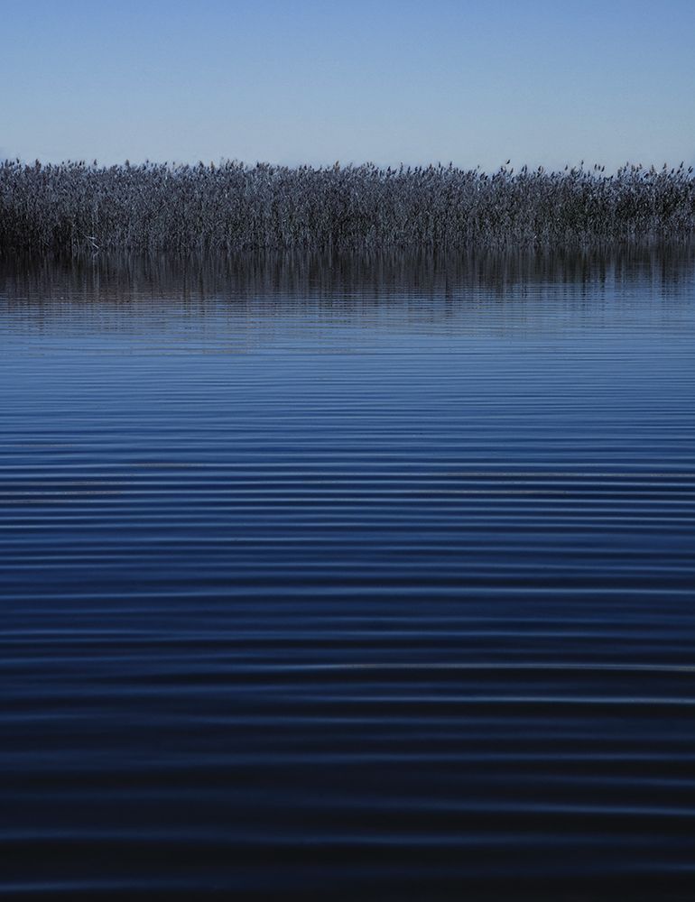 Still Waters II art print by Anonymous for $57.95 CAD