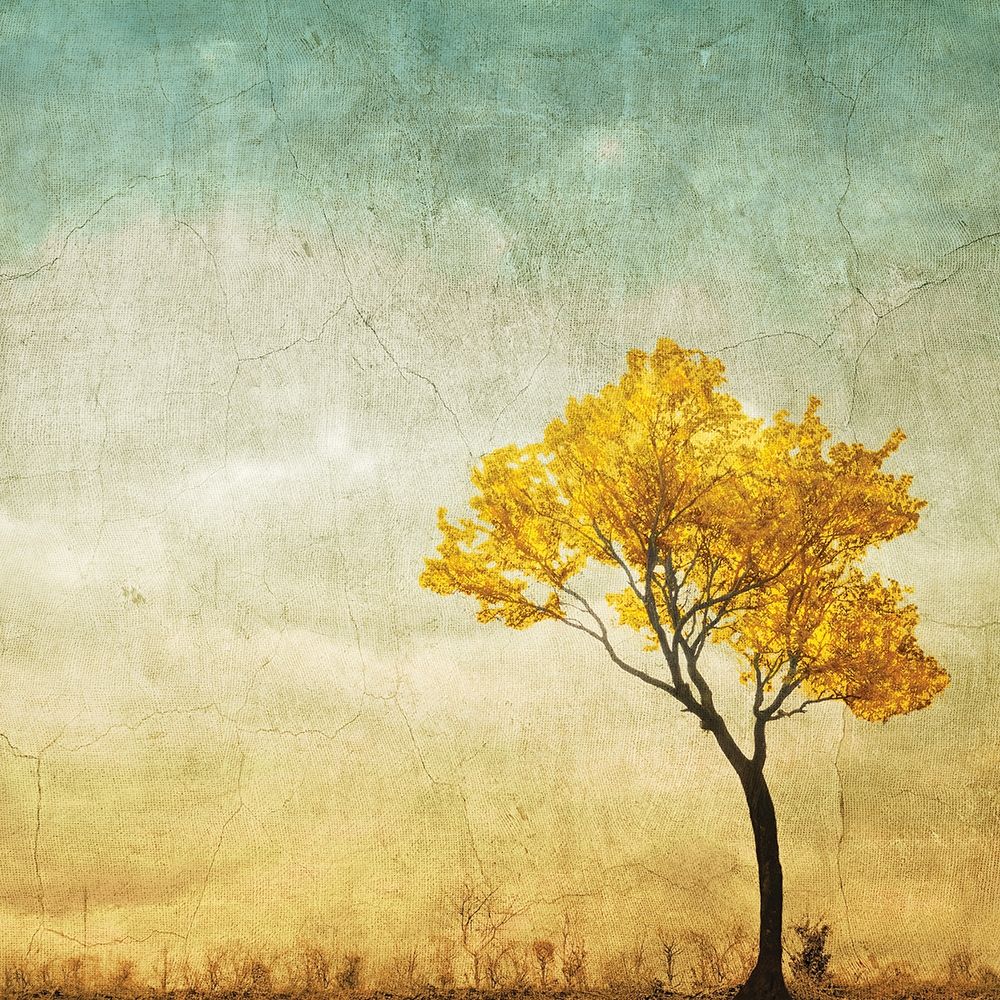 Golden Tree in the Meadow art print by Anonymous for $57.95 CAD