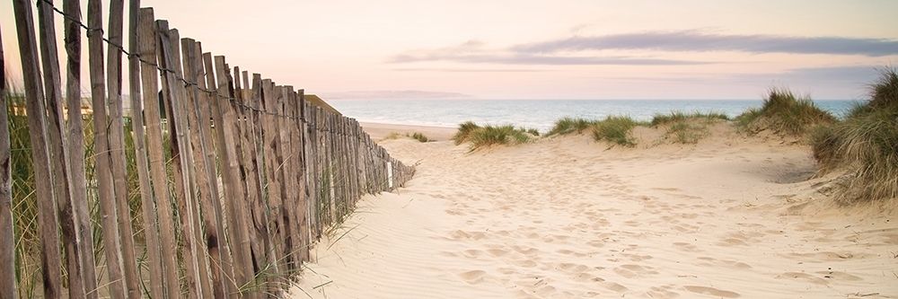 Sand Fence, Early Morning art print by Anonymous for $57.95 CAD