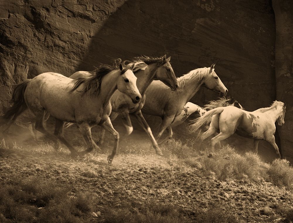 Wild Horses II art print by Anonymous for $57.95 CAD
