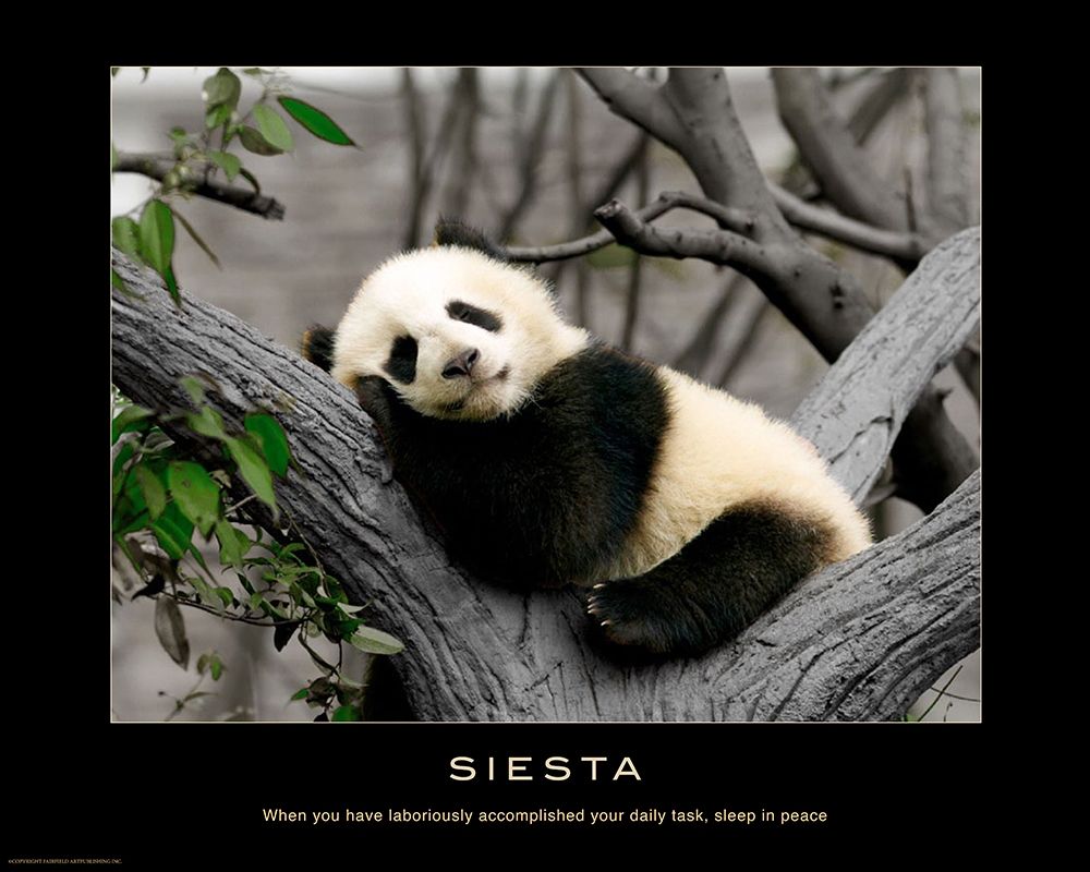Siesta art print by Anonymous for $57.95 CAD