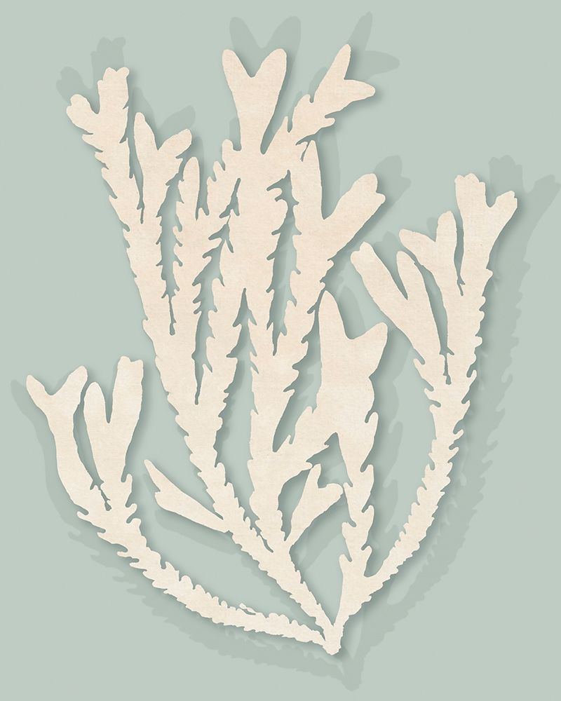 Ocean Rockweed II. art print by Inuit for $57.95 CAD