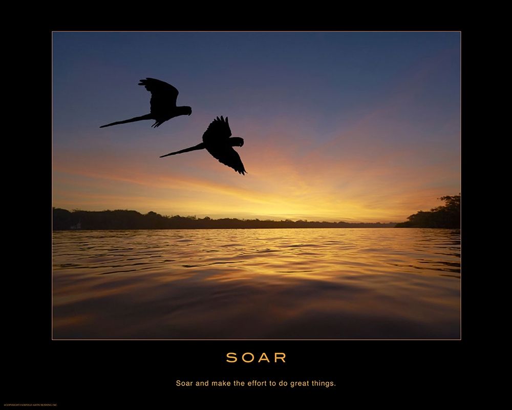 Soar art print by Anonymous for $57.95 CAD