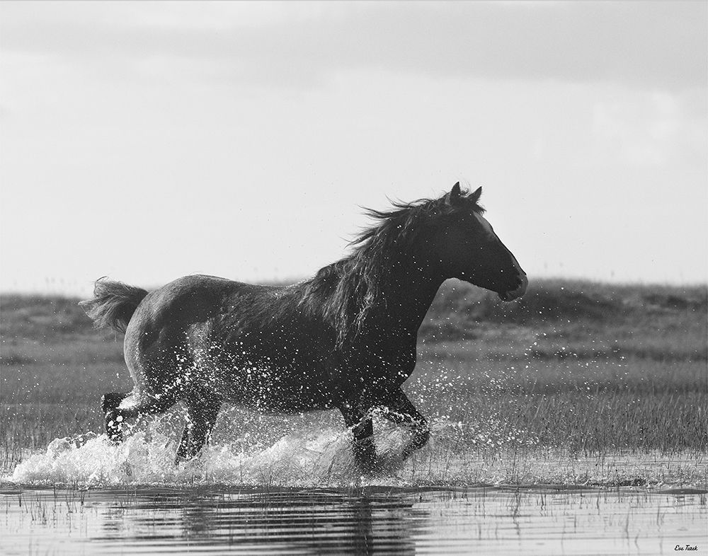 Run Like the Wind art print by Eve Turek for $57.95 CAD