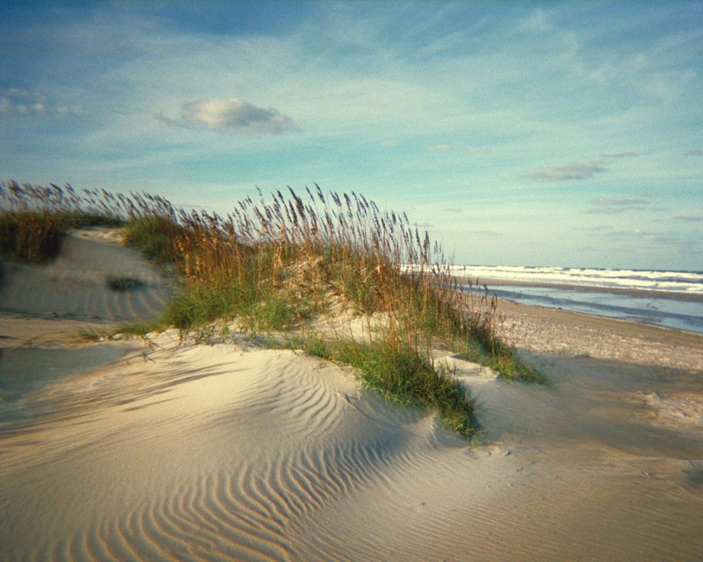 Sand Dunes art print by Anonymous for $57.95 CAD