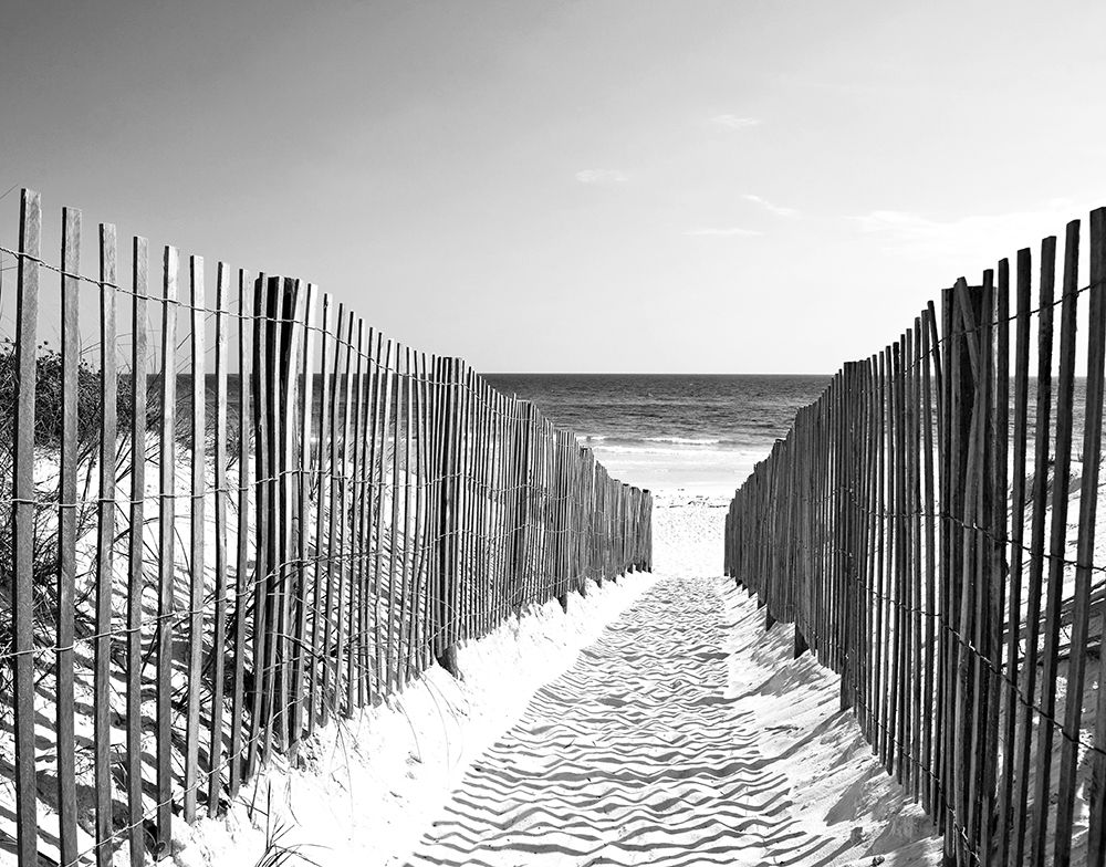 Coastal Path art print by Anonymous for $57.95 CAD