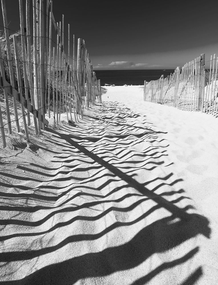 Shadowed Pathway art print by Anonymous for $57.95 CAD