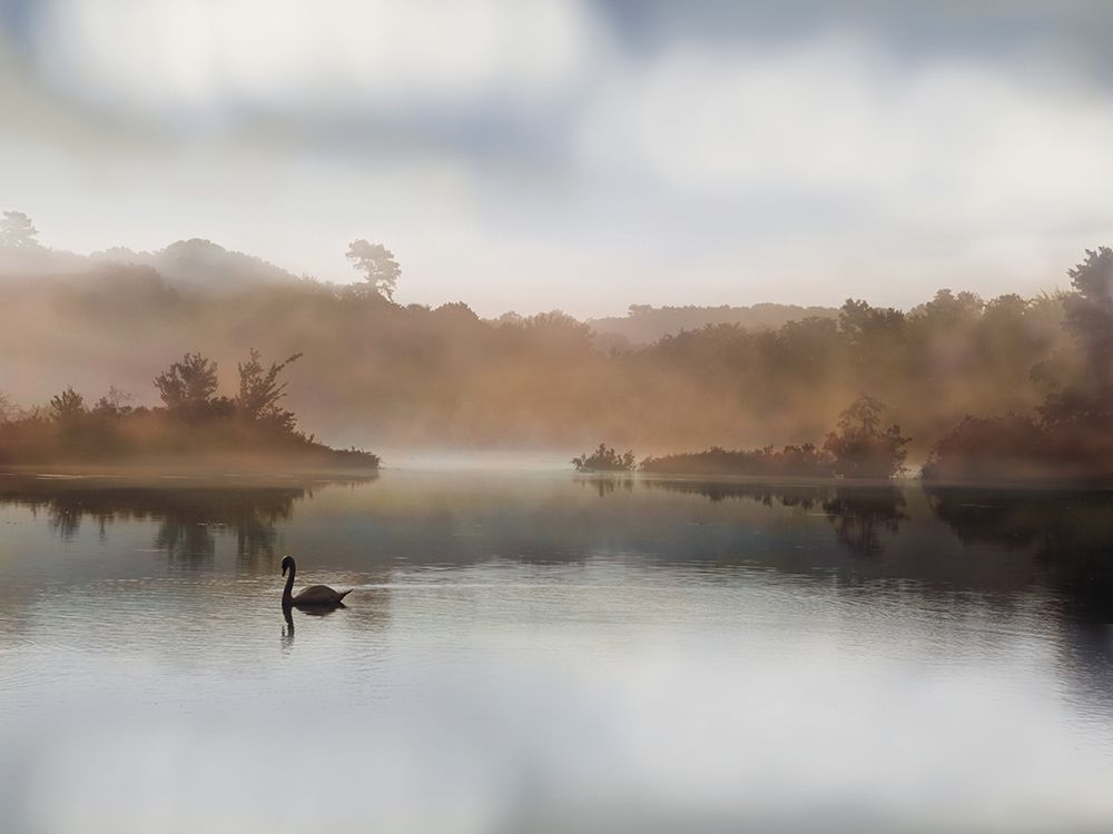 Morning on the River art print by S. Rega for $57.95 CAD