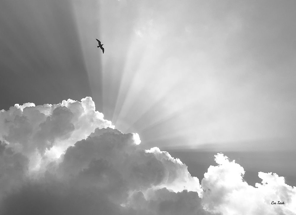 Heavenly art print by Eve Turek for $57.95 CAD