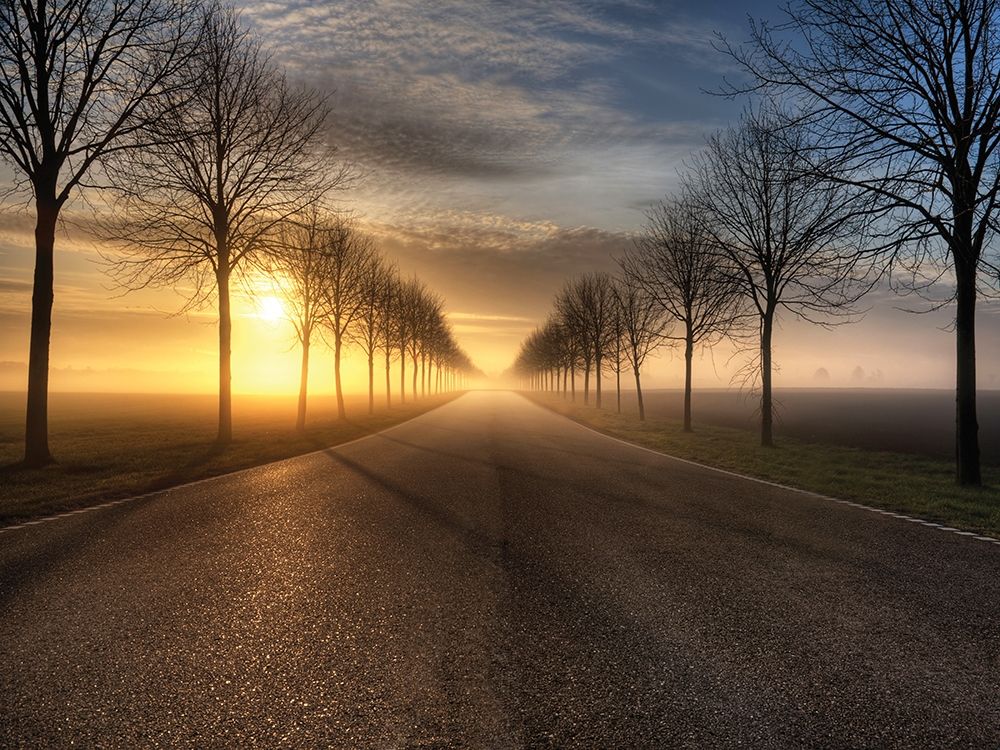 Vanishing Road art print by Anonymous for $57.95 CAD