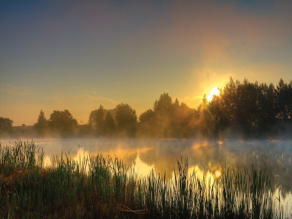 Canal Sunrise art print by Anonymous for $57.95 CAD