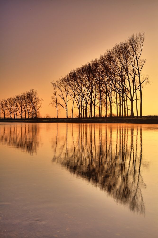 Reflections art print by Anonymous for $57.95 CAD