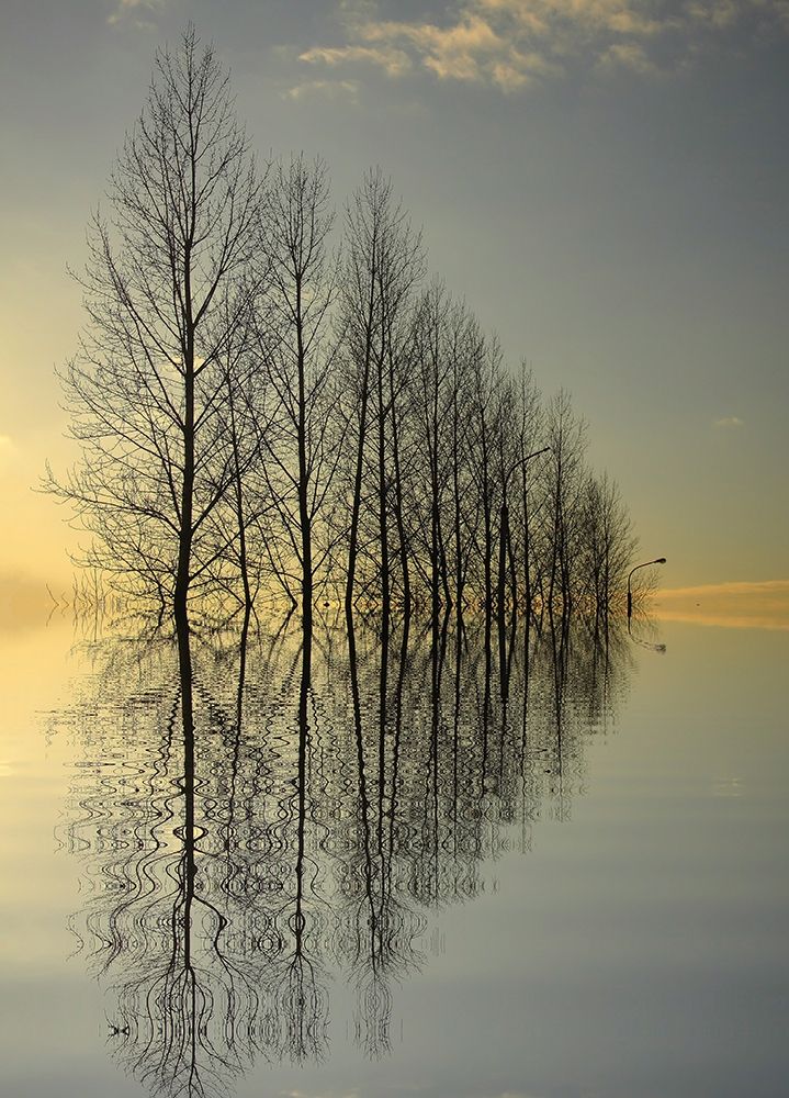 Reflections II art print by Anonymous for $57.95 CAD