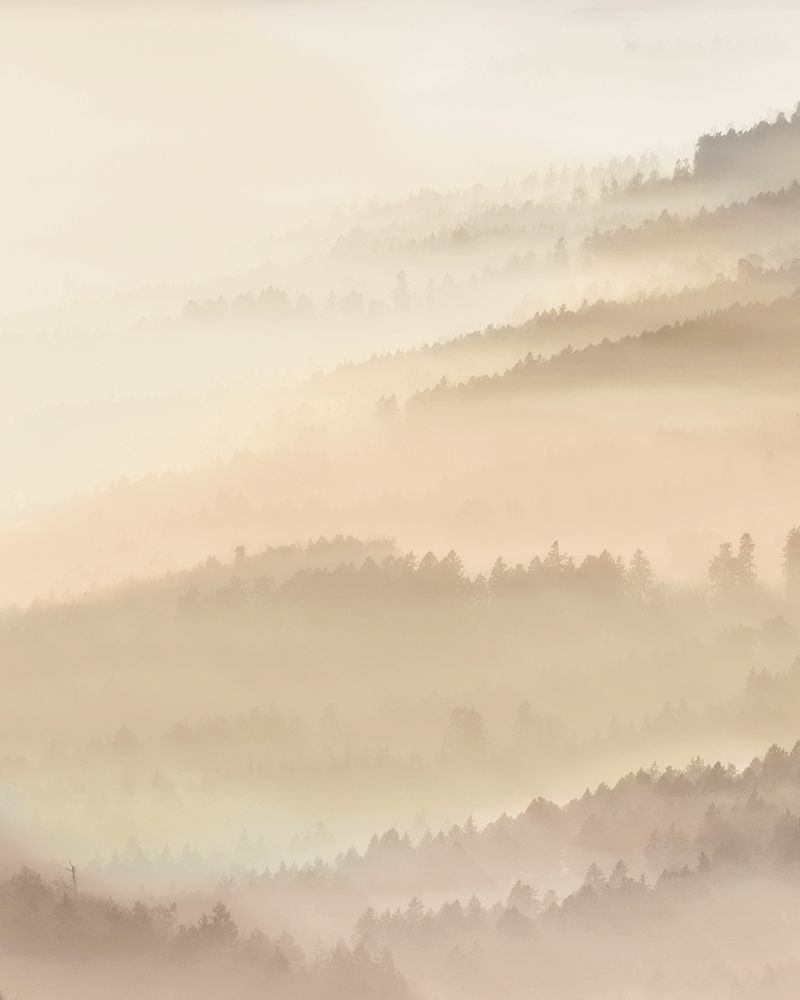 Fog Valley I. art print by Herzog for $57.95 CAD
