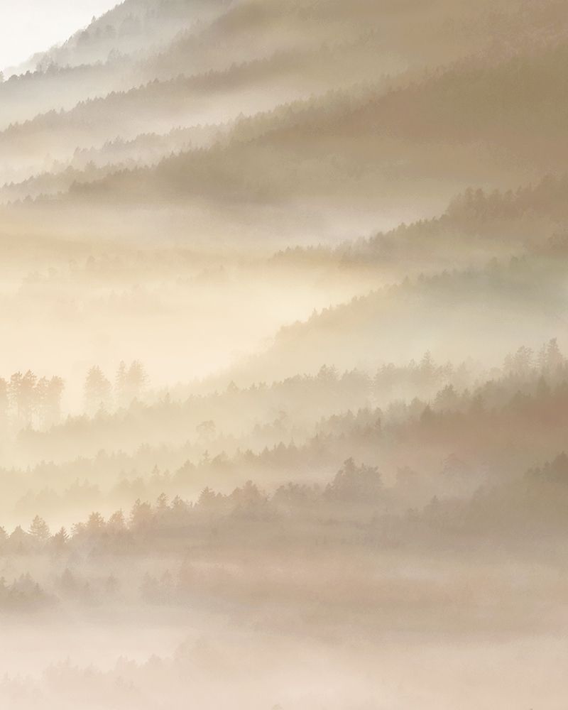 Fog Valley Il. art print by Herzog for $57.95 CAD
