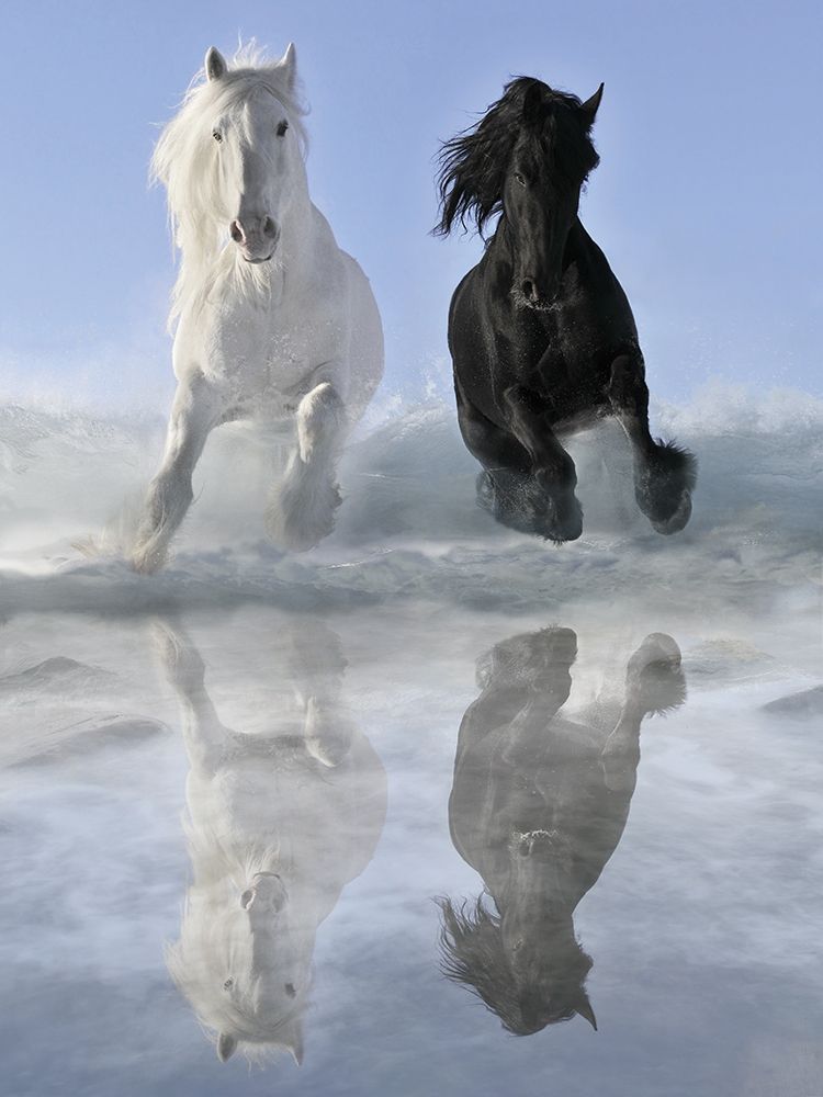 Salt and Pepper art print by V. Makarova for $57.95 CAD