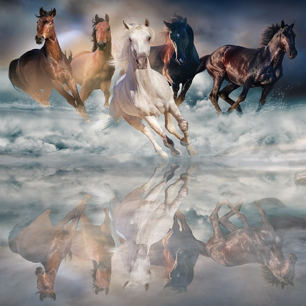 Herd Run art print by Svetlana for $57.95 CAD