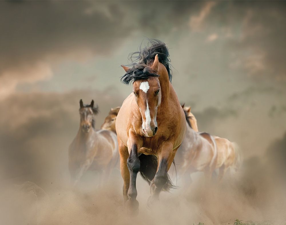 Against the Wind art print by Maria Itina for $57.95 CAD