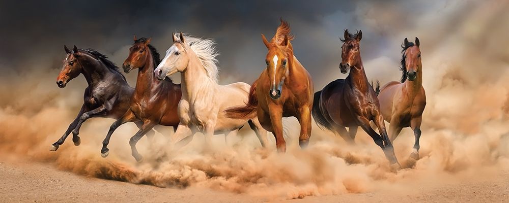 Desert Run art print by Svetlana for $57.95 CAD