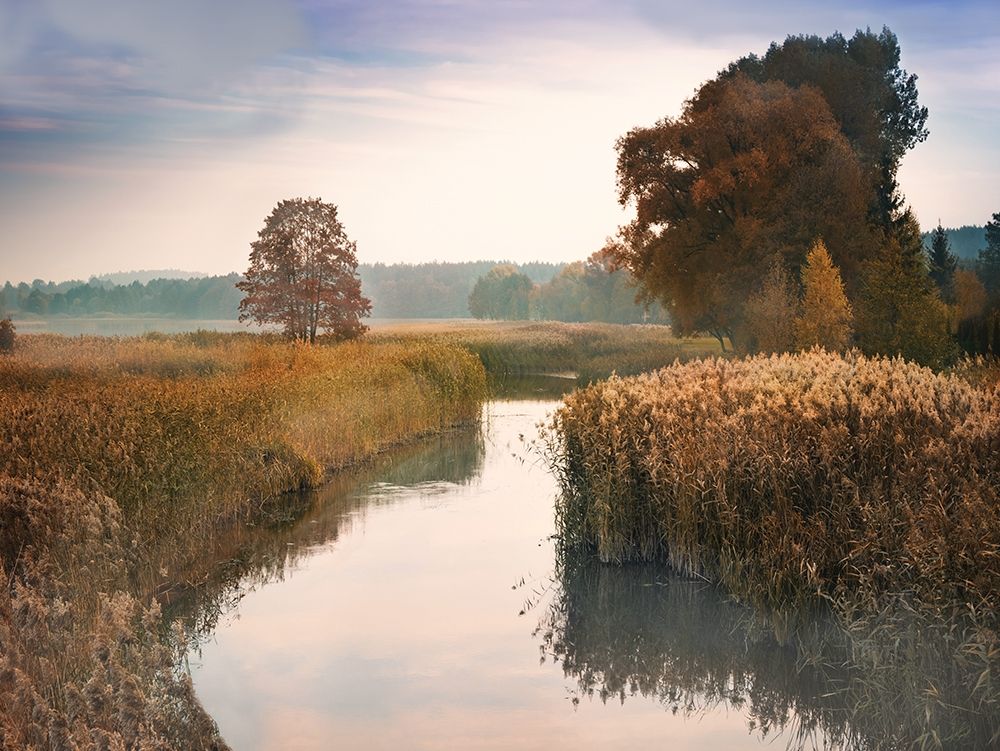 Elk River art print by Anonymous for $57.95 CAD