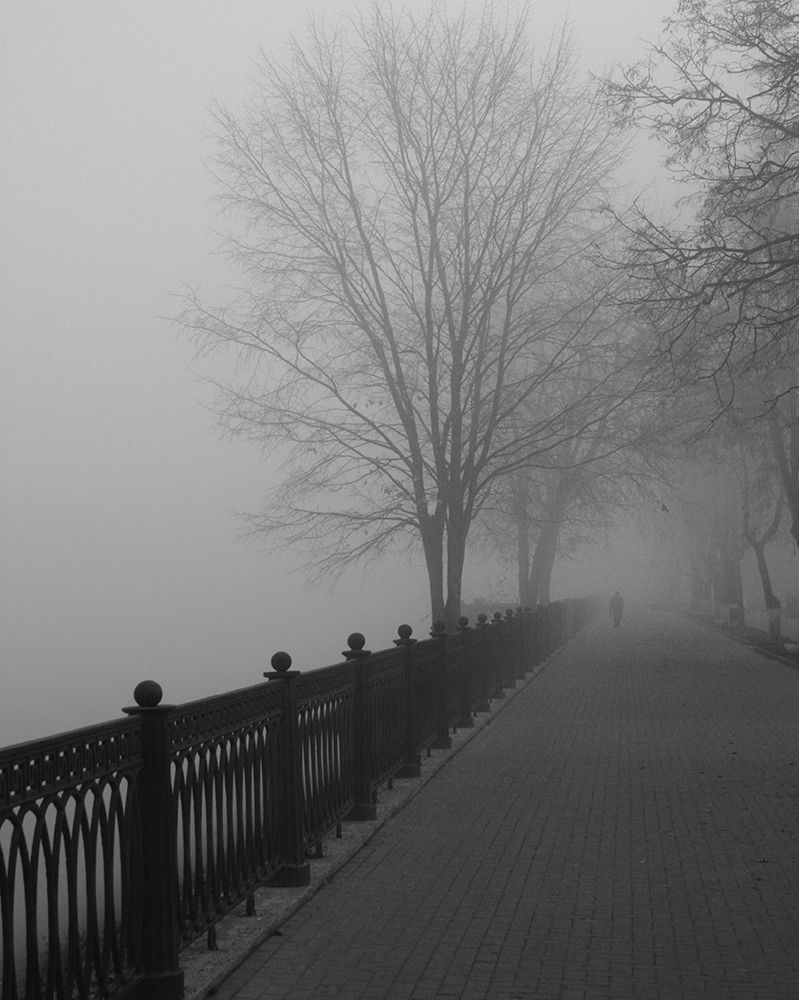 Promenade in the Mist art print by Anonymous for $57.95 CAD