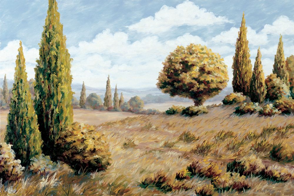 Windswept Valley art print by Unknown for $57.95 CAD